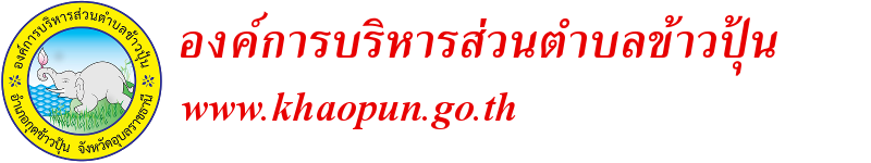 องค์การบริหารส่วนตำบลข้าวปุ้น